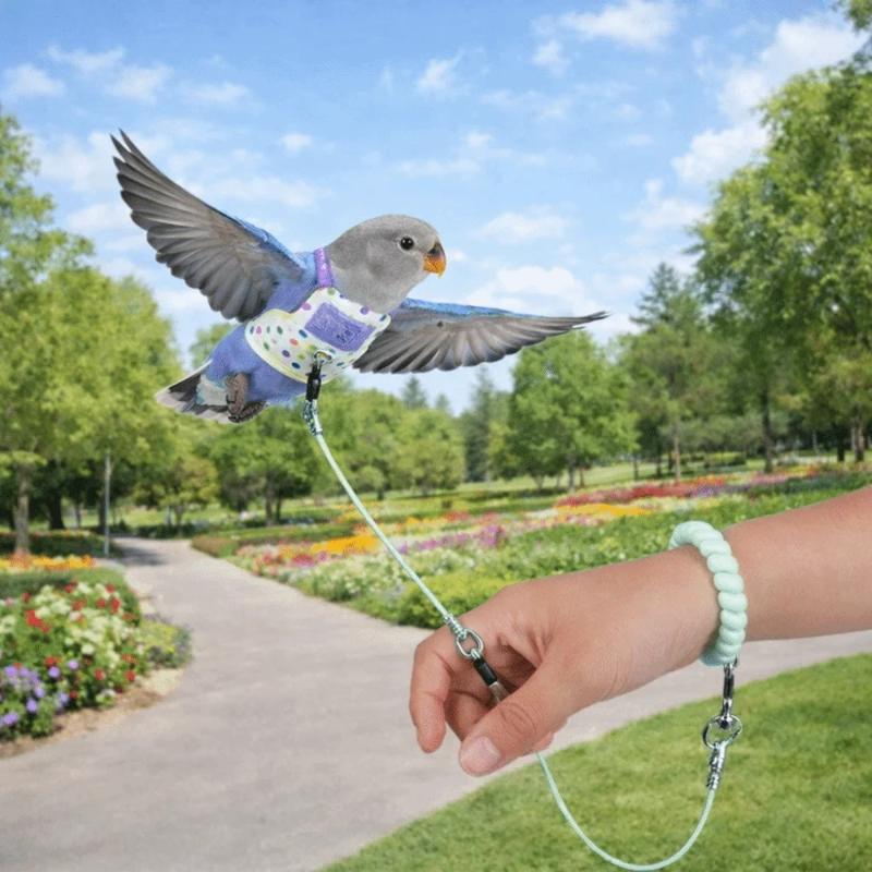 Escape Proof Parrot Harness Le - Outdoor Adventure Training 评论和价格