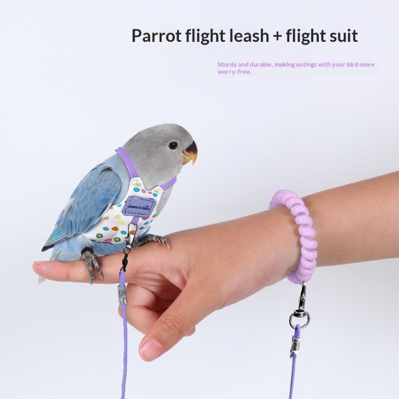 Escape Proof Parrot Harness Le - Outdoor Adventure Training 评论和价格